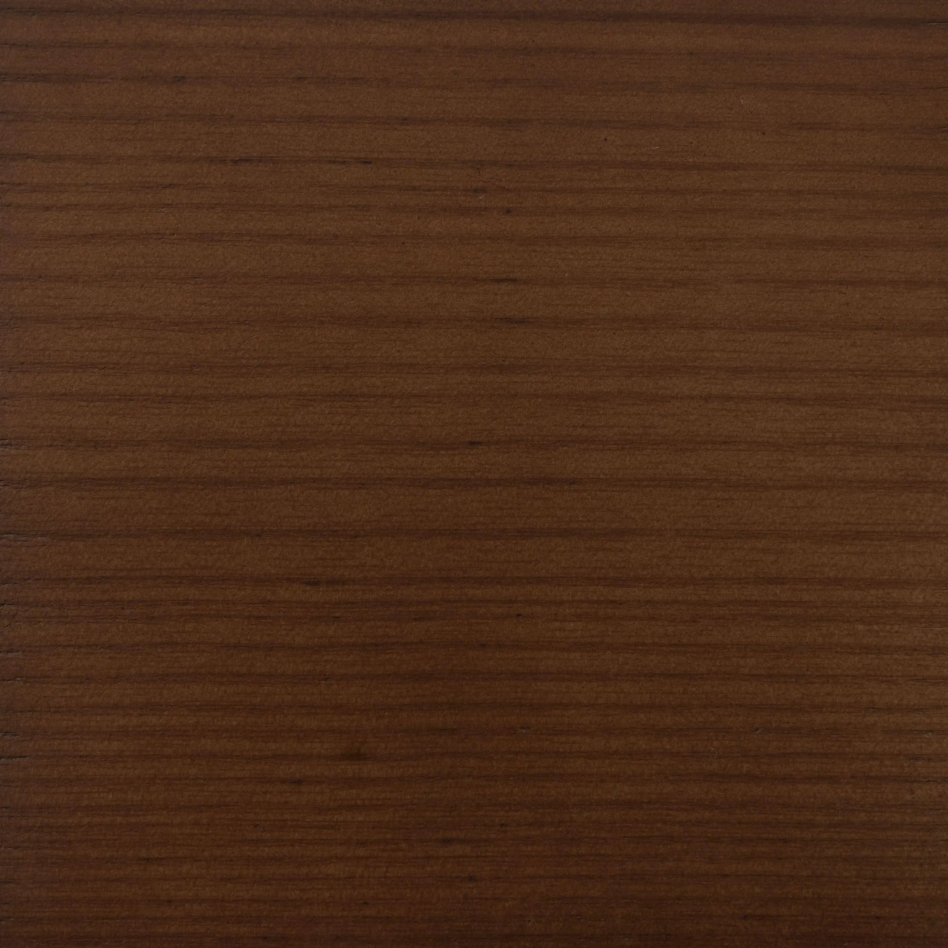 North American Walnut Natural B01
